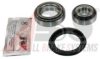 VW 111498071BS Wheel Bearing Kit